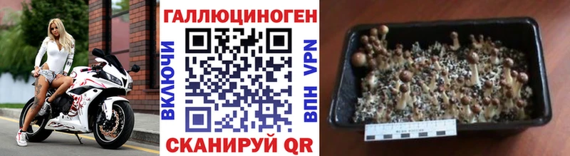 Псилоцибиновые грибы мицелий  mega зеркало  Туринск 